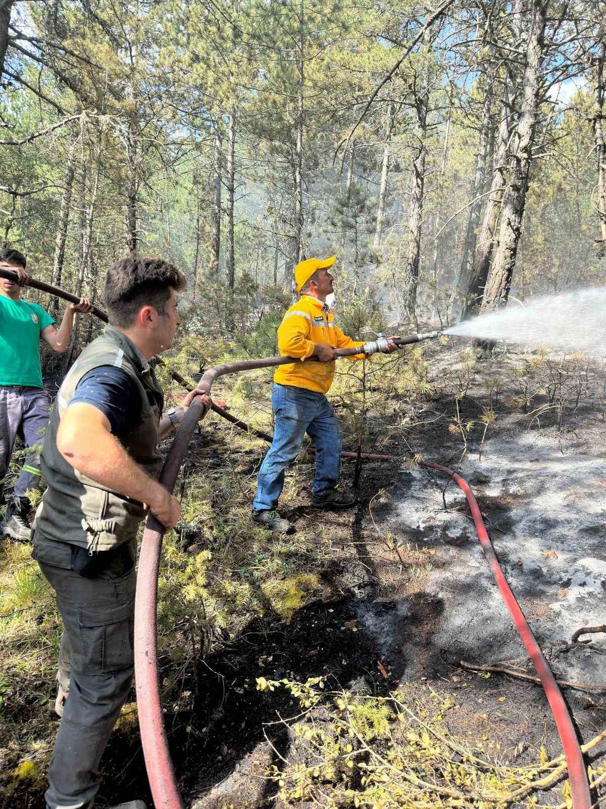 Yıldırım düşen ormanda çıkan yangın söndürüldü