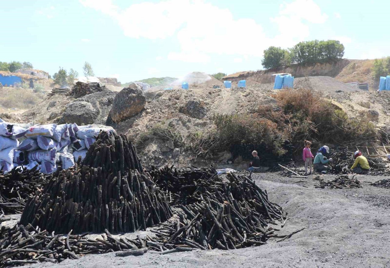 Mangal kömürü üretmek için gece gündüz mesai yapıyorlar
