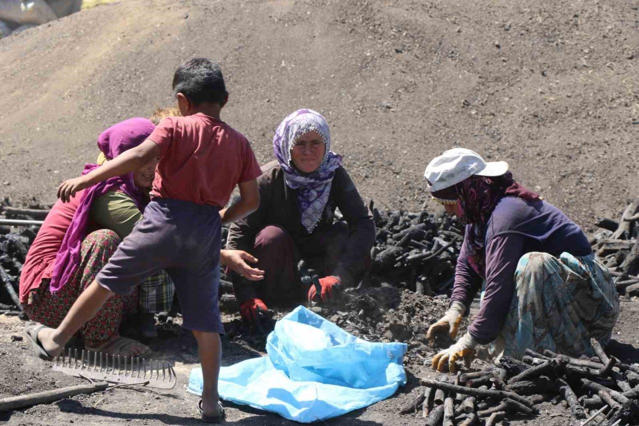 Mangal kömürü üretmek için gece gündüz mesai yapıyorlar