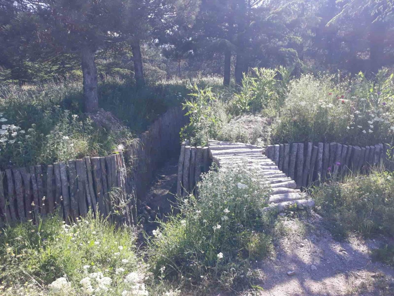 ‘Metristepe Şehitler Heykeli’ ve mezarlar bakımsızlıktan ilgi bekliyor