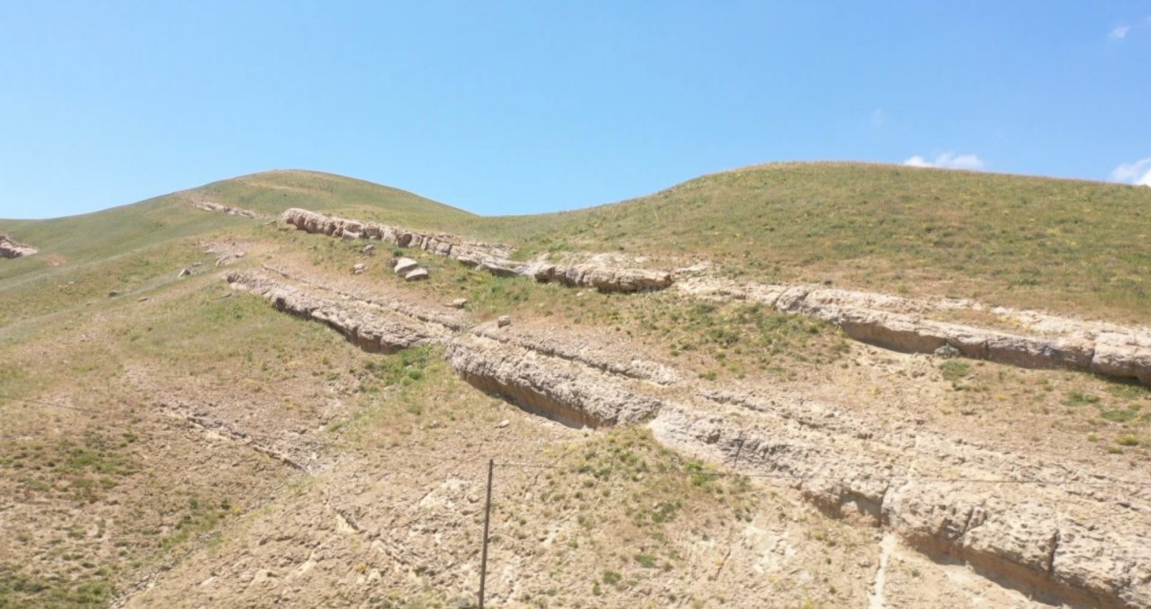 Muş’ta 20 milyon yıllık deniz canlıları fosili bulundu