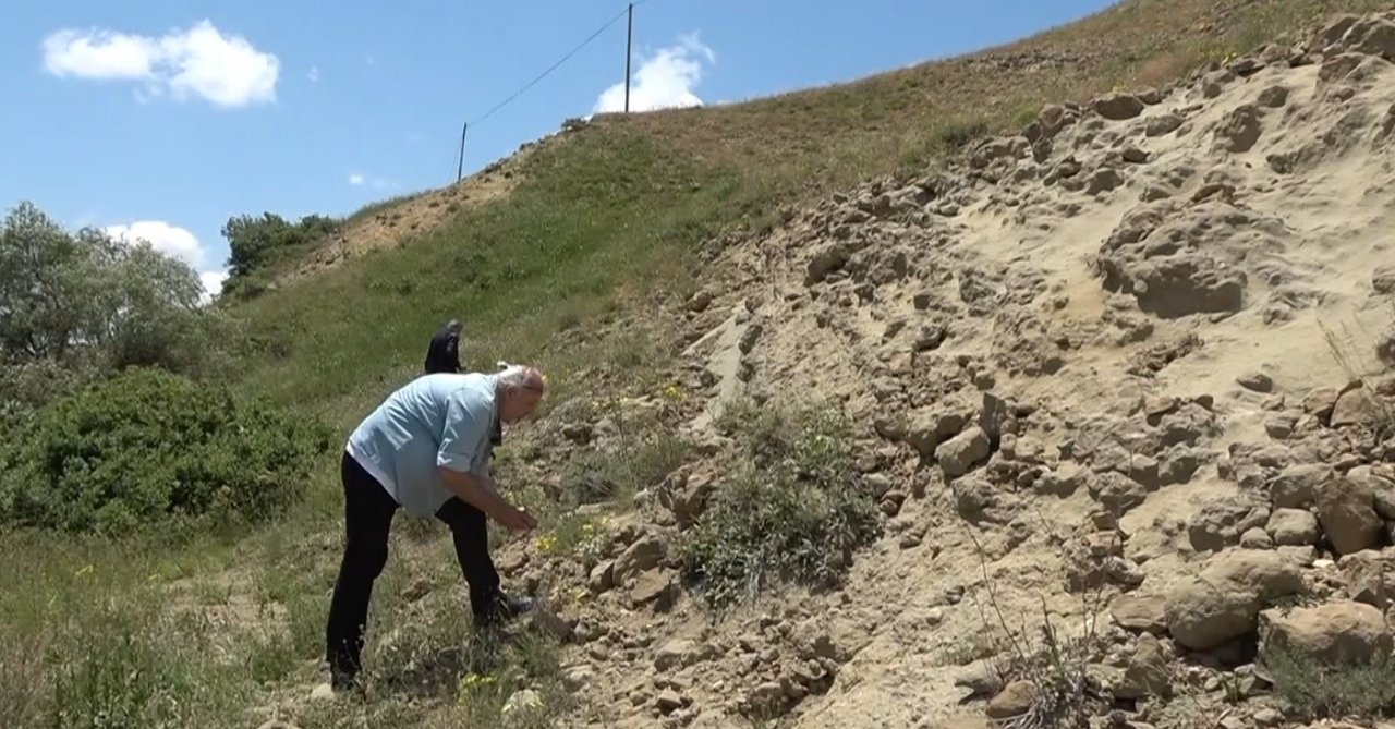 Muş’ta 20 milyon yıllık deniz canlıları fosili bulundu