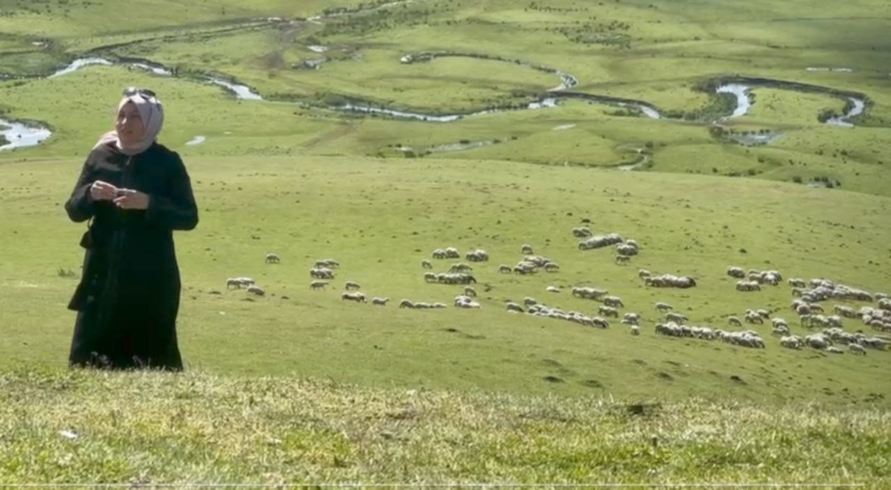 Menderesleriyle ünlü Perşembe Yaylası ziyaretçilerini ağırlıyor