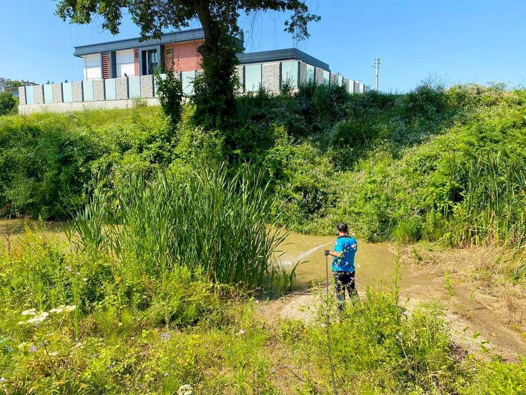 Sakarya Büyükşehir 16 ilçede vektörlerle mücadele ediyor