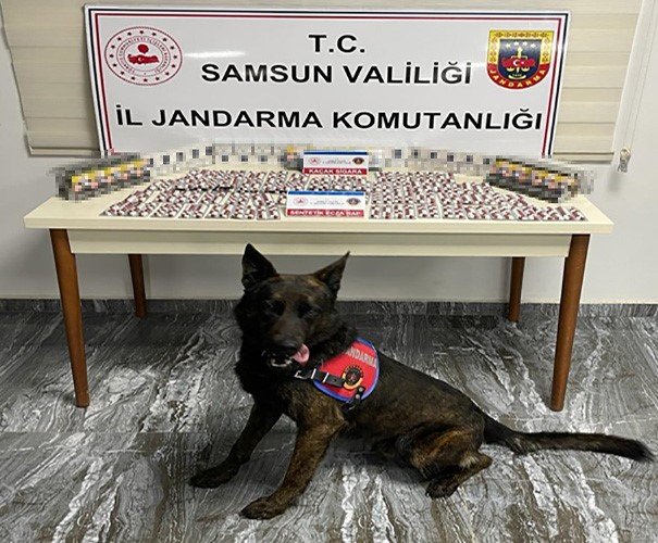 Jandarma 615 aranan şahsı yakaladı