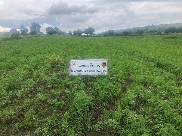 Jandarma 615 aranan şahsı yakaladı