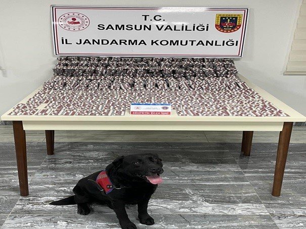 Jandarma 615 aranan şahsı yakaladı