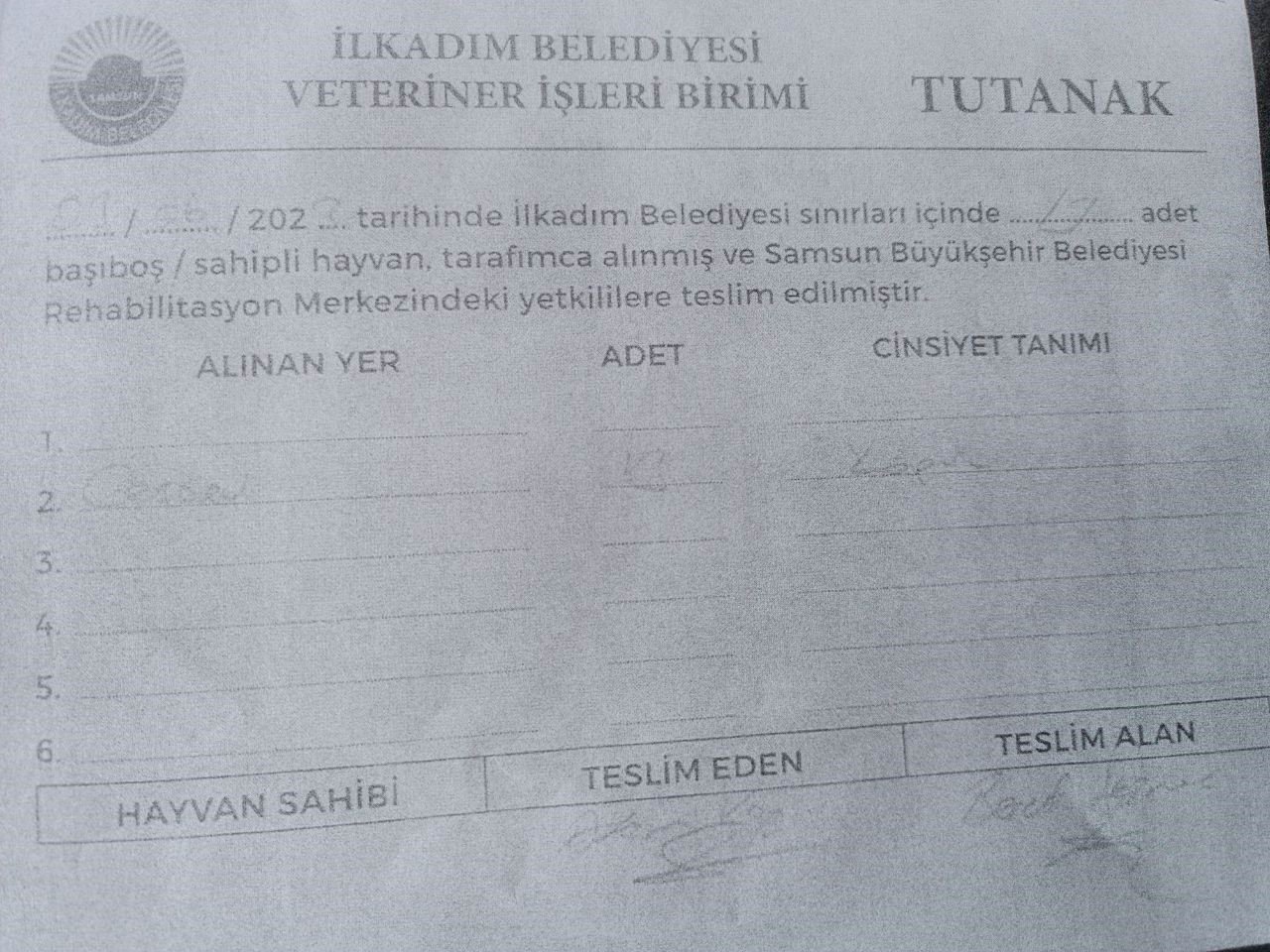 İlkadım Belediyesi’nden ’300 köpeğin yok edildiği’ iddiasına cevap