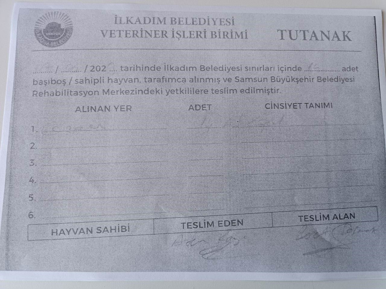 İlkadım Belediyesi’nden ’300 köpeğin yok edildiği’ iddiasına cevap