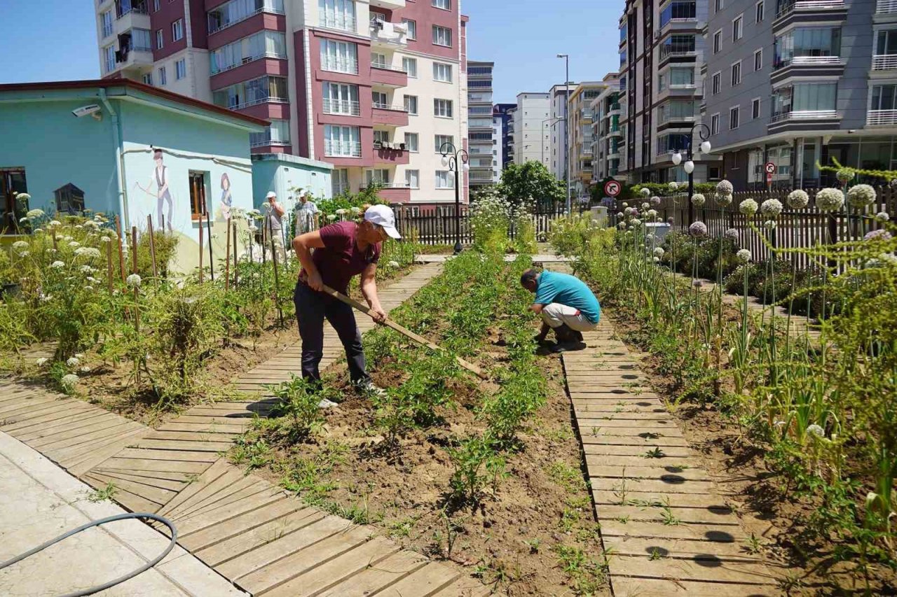 AtaTohum’da yazlık fideler toprakla buluştu