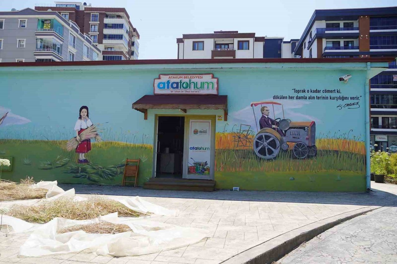 AtaTohum’da yazlık fideler toprakla buluştu