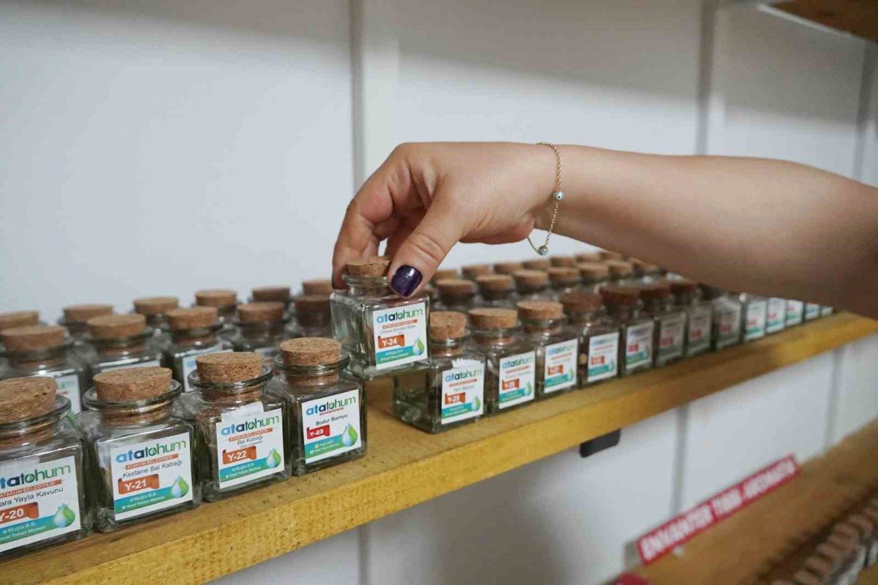 AtaTohum’da yazlık fideler toprakla buluştu