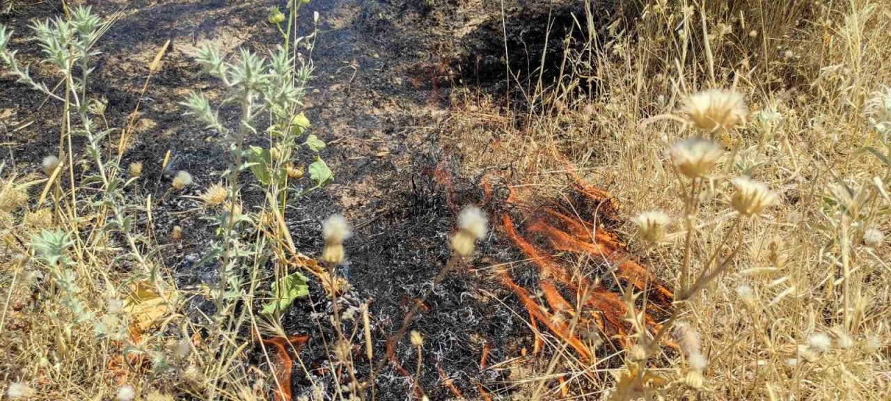 100 dönümlük otluk alanda çıkan yangın, yerleşik alana ulaşmadan söndürüldü