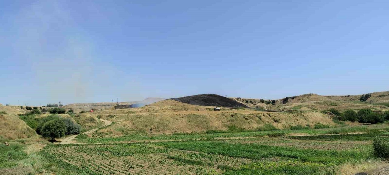 100 dönümlük otluk alanda çıkan yangın, yerleşik alana ulaşmadan söndürüldü