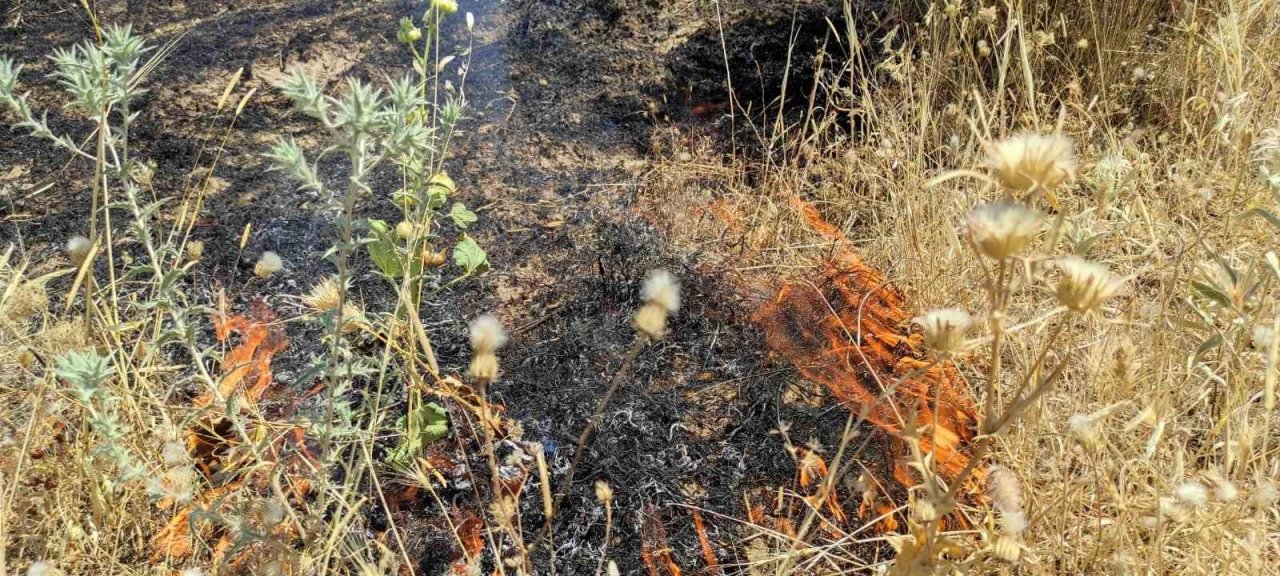 100 dönümlük otluk alanda çıkan yangın, yerleşik alana ulaşmadan söndürüldü
