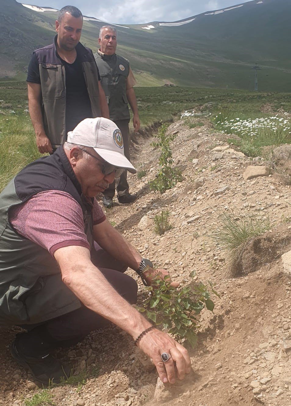 Konaklı’ya 43 bin ağaç dikildi