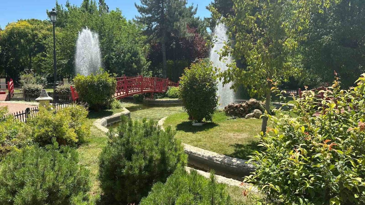 Gaziantep’te çiftler doğal fotoğraf stüdyosunu tercih ediyor