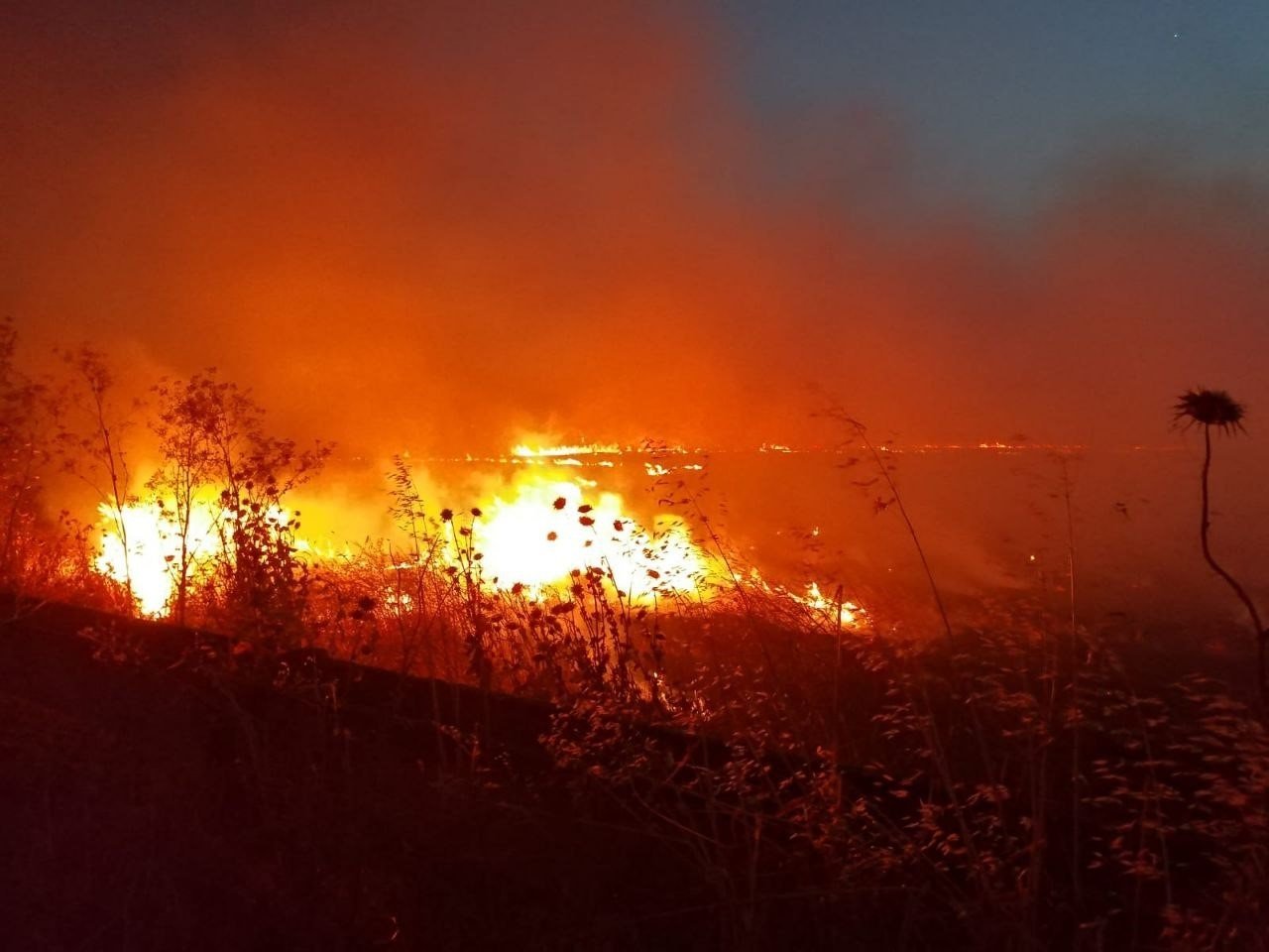 Gönen’de anız yangını, 60 dönüm yer kül oldu