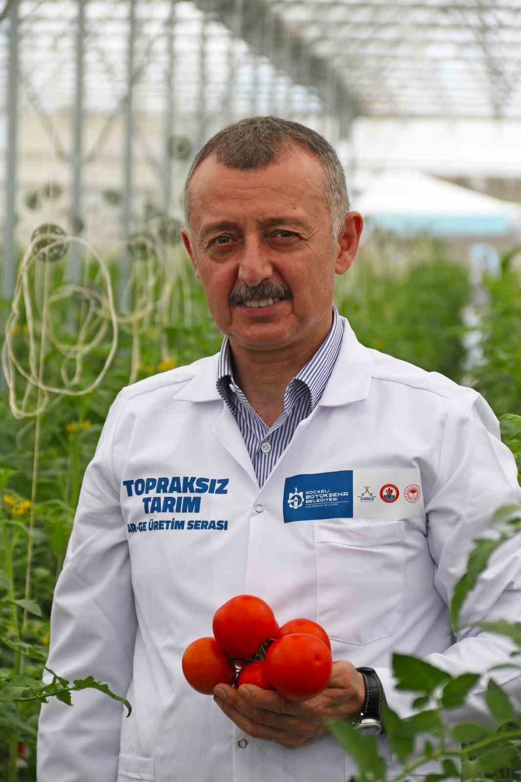 Tarımda ilk olan sistemde hasat heyecanı