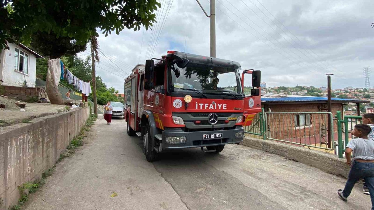 Yılan ihbarı itfaiye ekiplerini harekete geçirdi