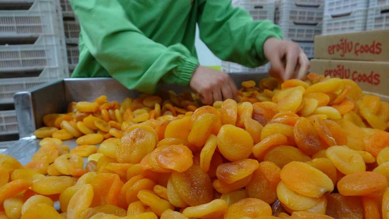 Özcan’dan meyve suyu üretimi yapan firmalara uyarı