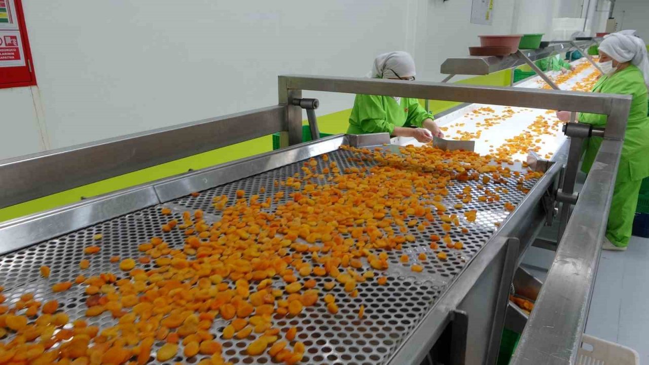 Özcan’dan meyve suyu üretimi yapan firmalara uyarı