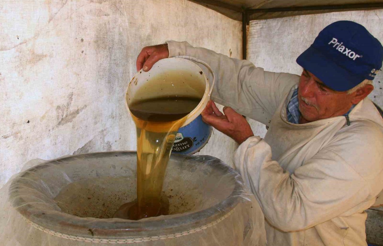 Türkiye’nin Börülce merkezi Muğla