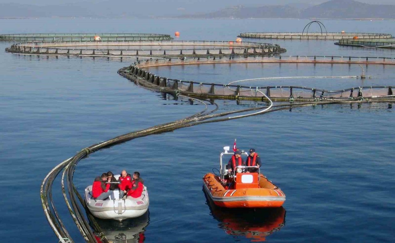 Türkiye’nin Börülce merkezi Muğla