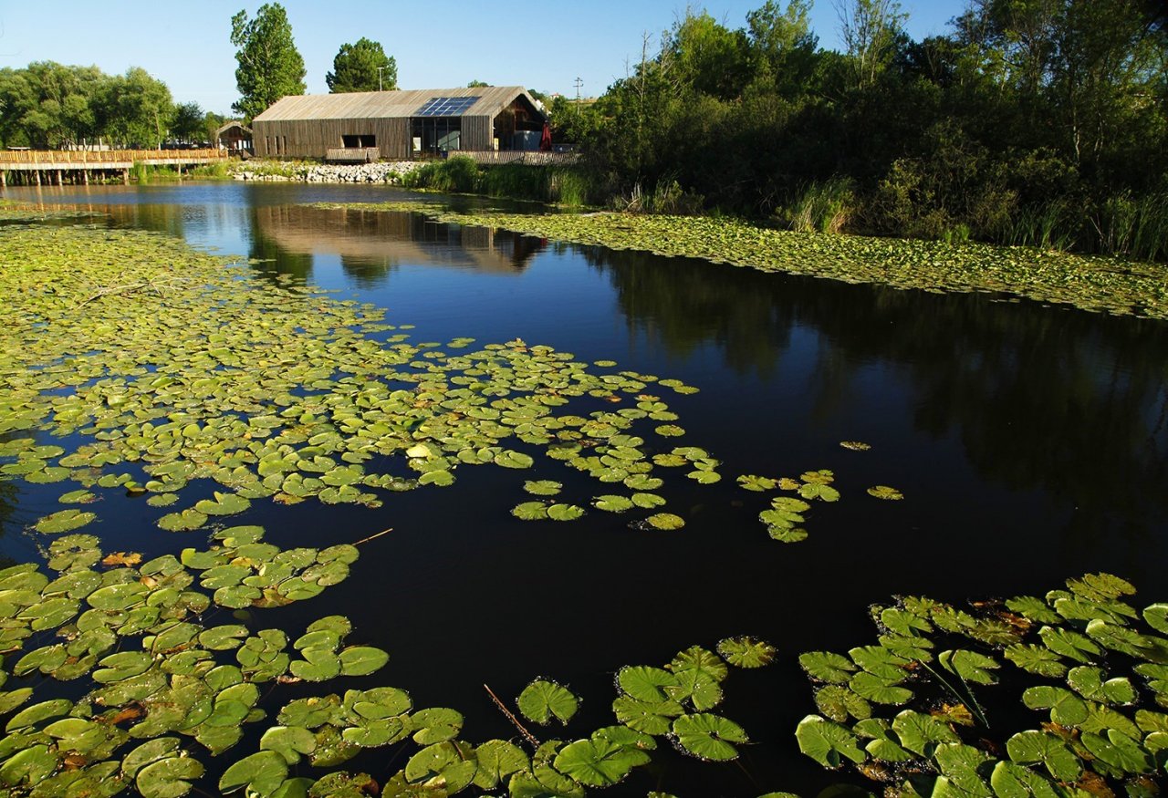 Bayramda turistik noktalar ziyaretçi akınına uğradı