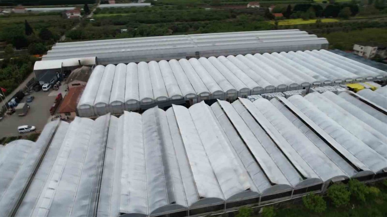 Yalova’dan 2023’ün ilk 6 ayında 193 milyon dolarlık ihracat