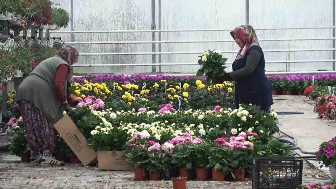 Yalova’dan 2023’ün ilk 6 ayında 193 milyon dolarlık ihracat