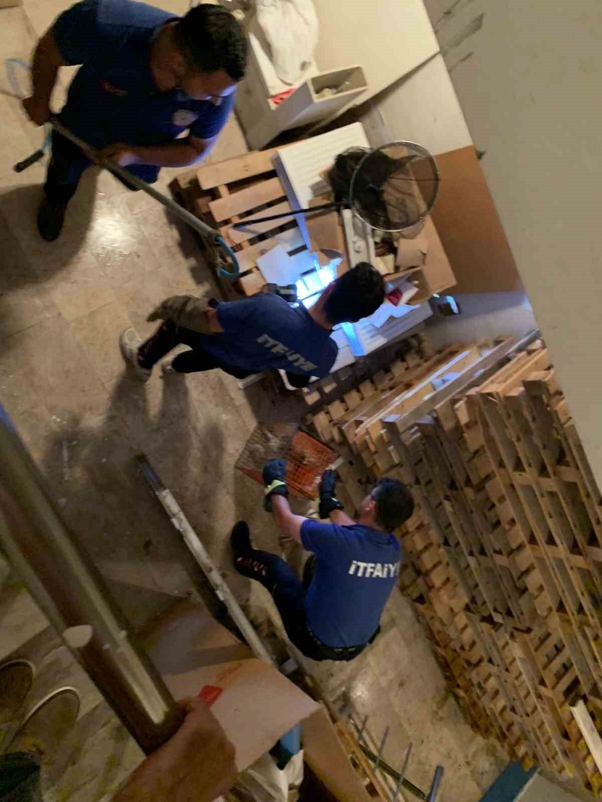 Yalova’da itfaiyeden kedi kurtarma operasyonu