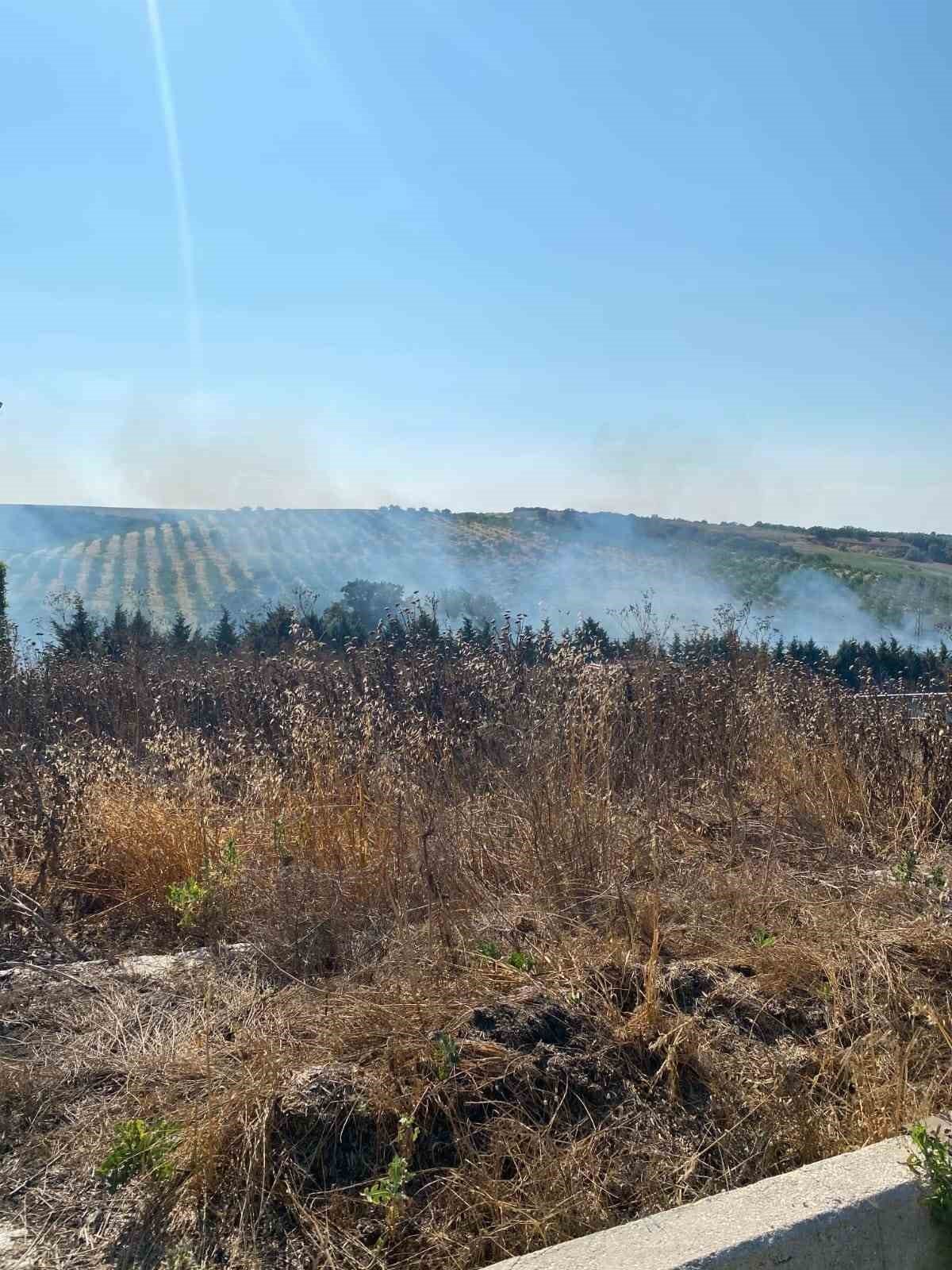 Tekirdağ’da bir çiftlikte çıkan yakın ekiplerce söndürüldü