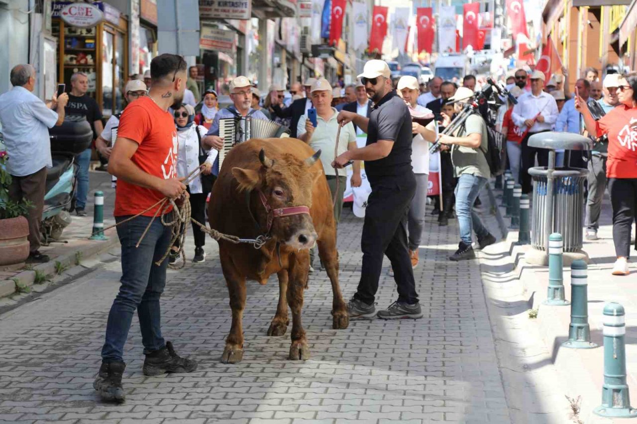 42. Kafkasör Festivali boğalı kortej yürüyüşüyle başladı