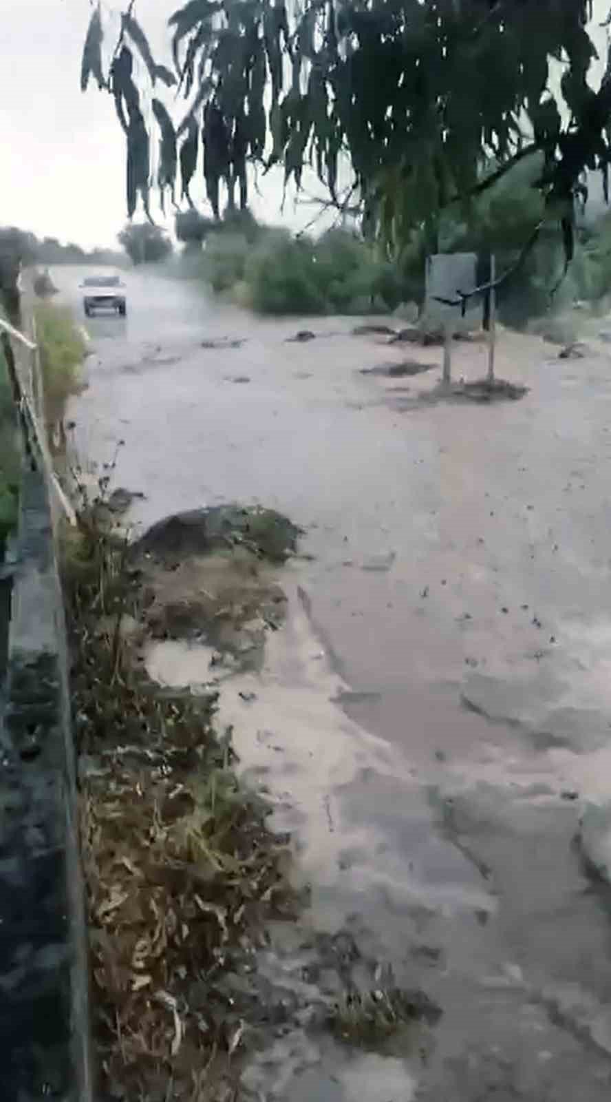 Çine’de sel: 4 büyükbaş hayvan kayboldu, traktör sel sularına kapıldı