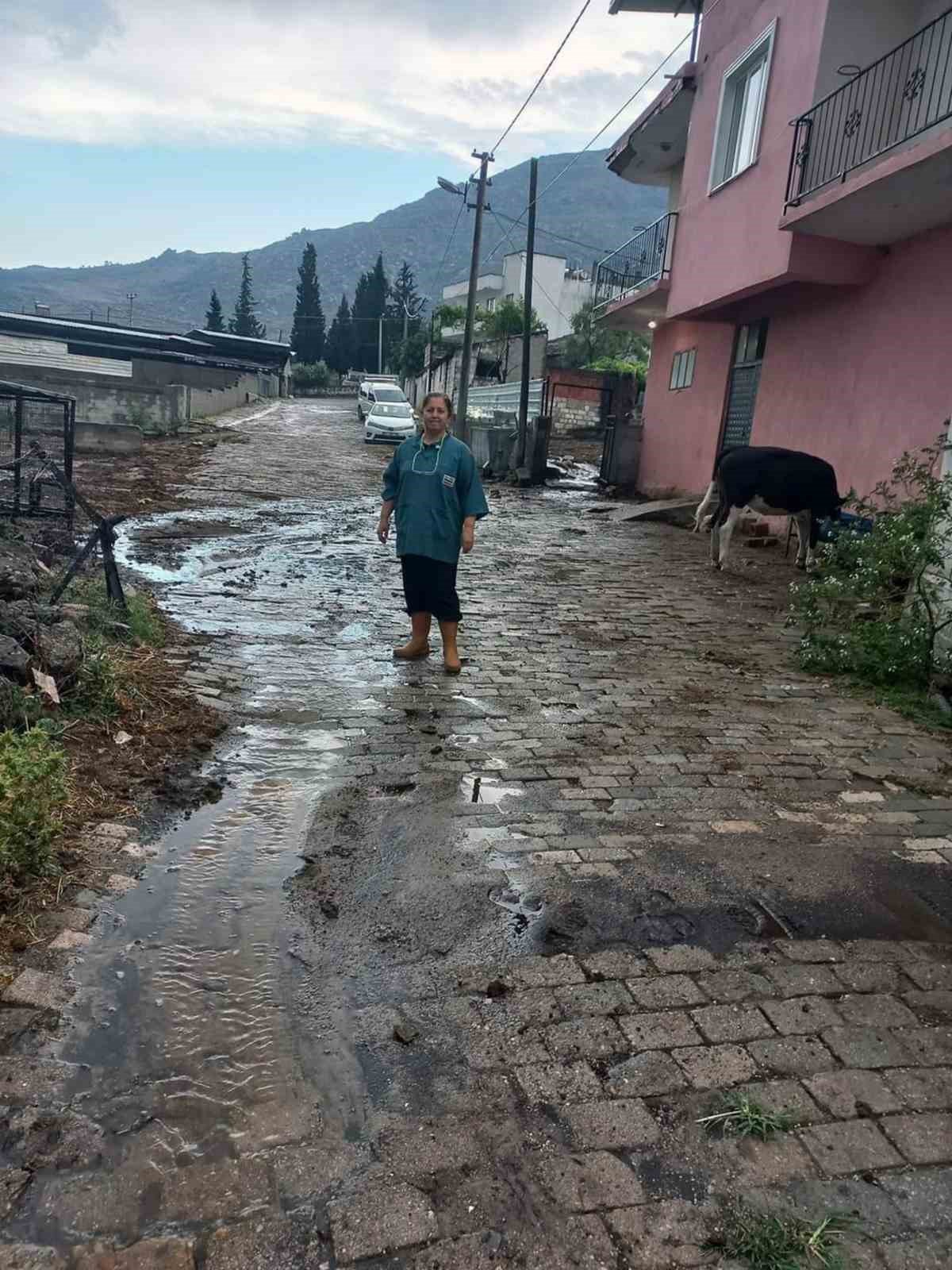 Çine’de sel: 4 büyükbaş hayvan kayboldu, traktör sel sularına kapıldı