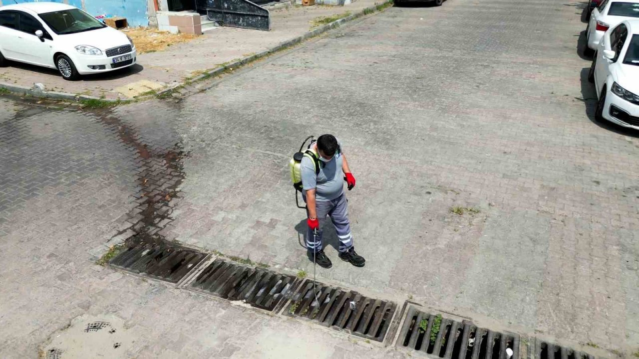 Bahçelievler Belediyesi sivrisineklerle mücadele çalışmalarına hız verdi