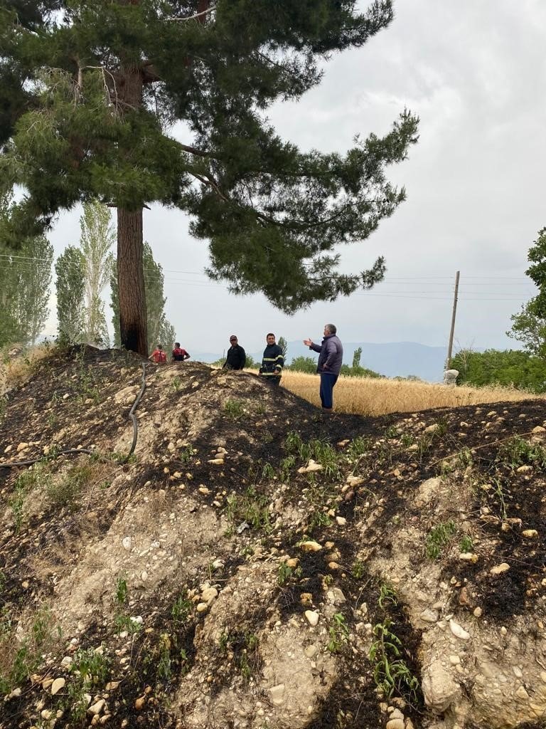 Burdur’da buğday tarlasında çıkan yangın itfaiyenin erken müdahalesiyle söndürüldü