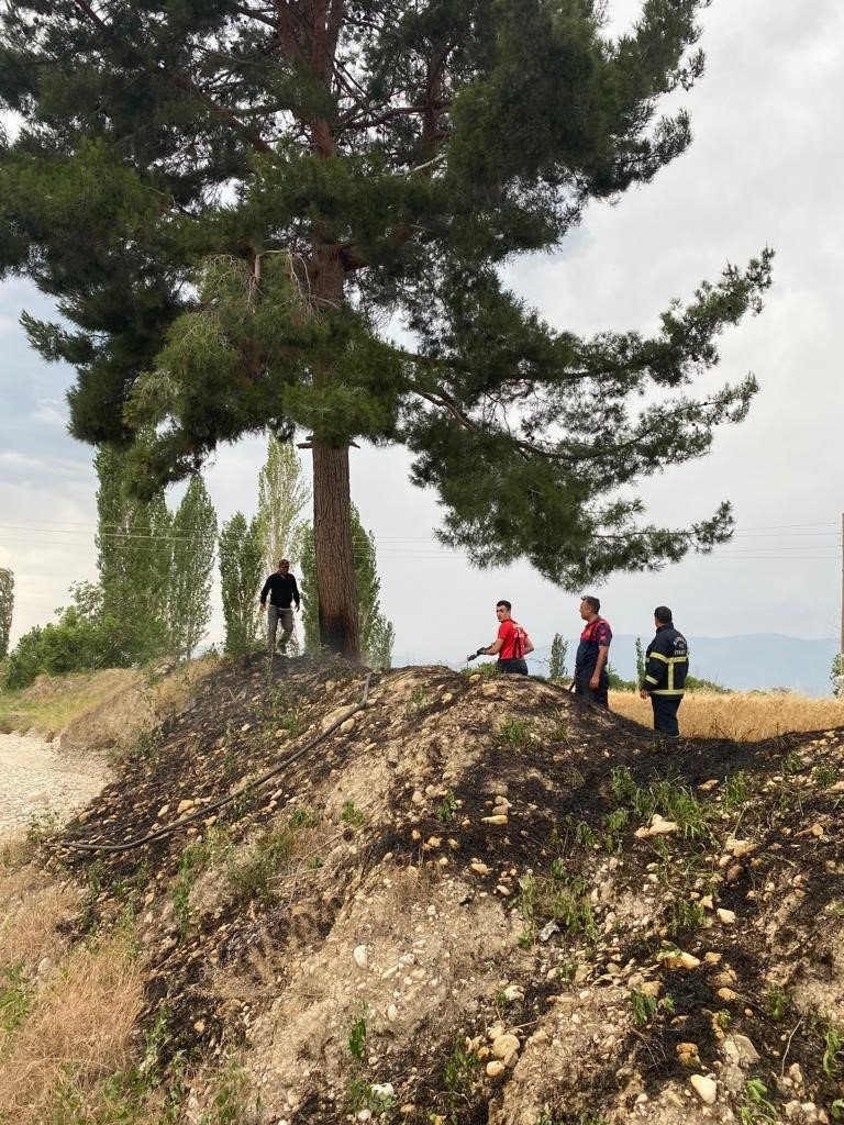 Burdur’da buğday tarlasında çıkan yangın itfaiyenin erken müdahalesiyle söndürüldü