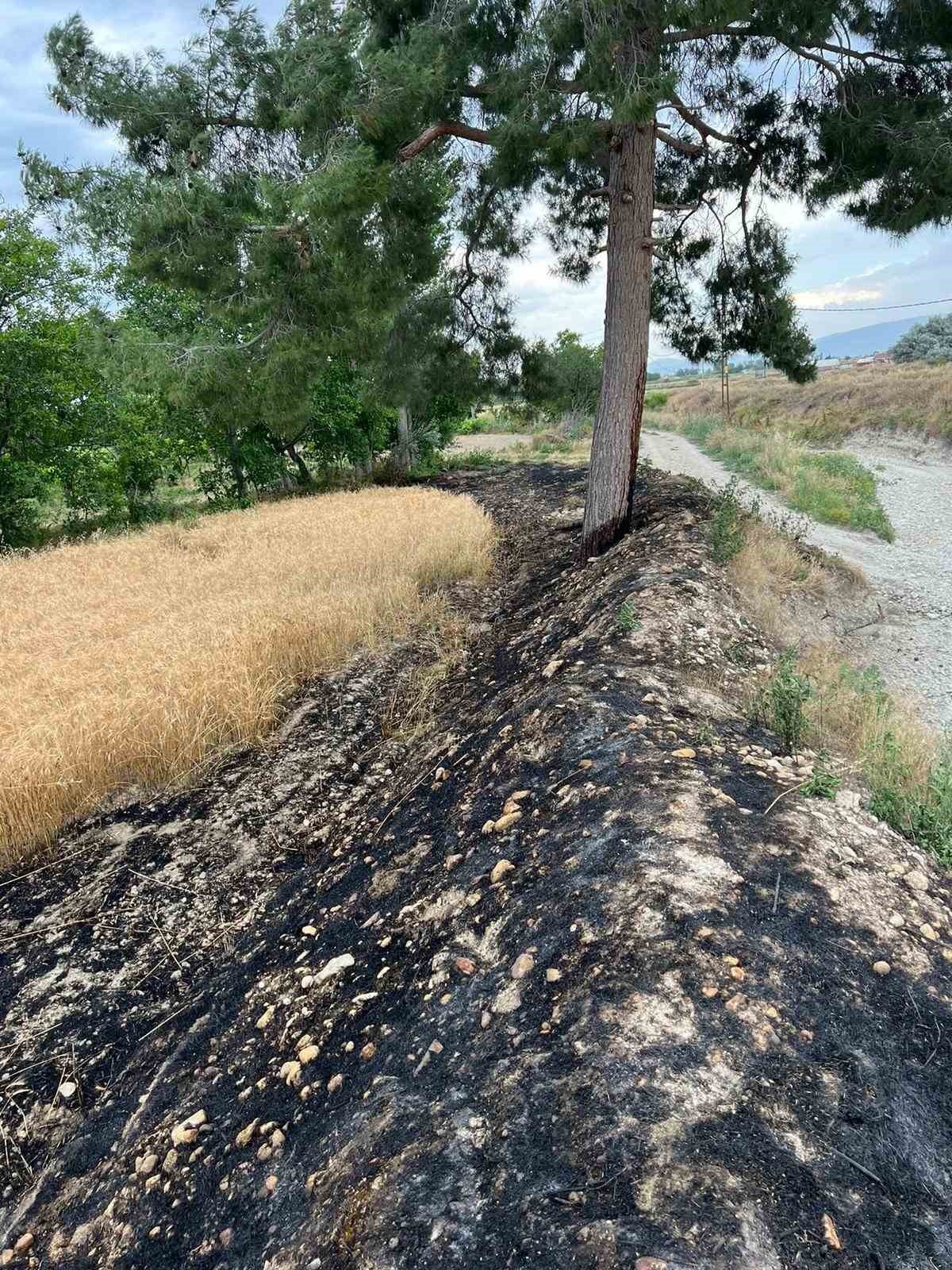 Burdur’da buğday tarlasında çıkan yangın itfaiyenin erken müdahalesiyle söndürüldü