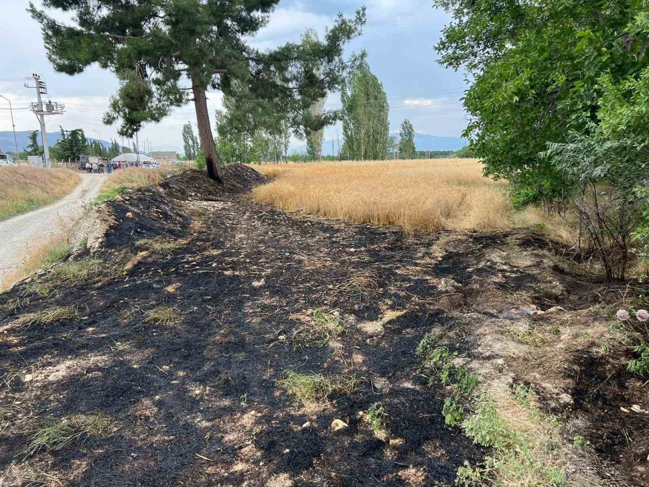 Burdur’da buğday tarlasında çıkan yangın itfaiyenin erken müdahalesiyle söndürüldü
