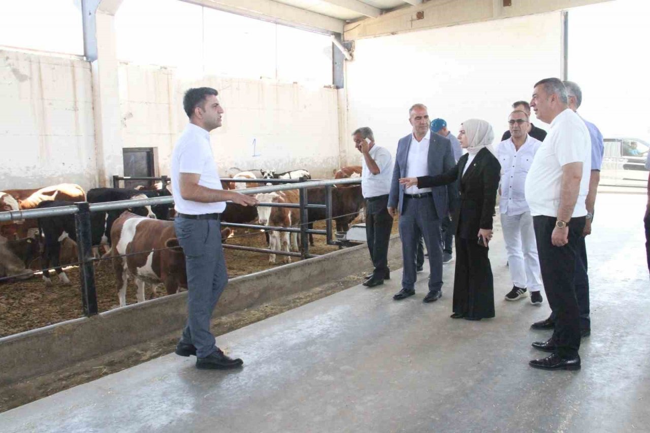 TDİOSB Malatya’da örnek olacak