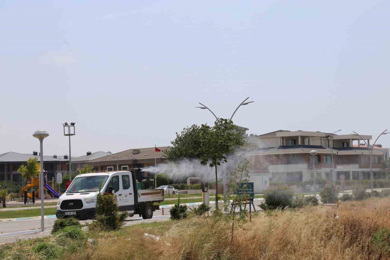 Edremit’te sinekle 7/24 mücadele