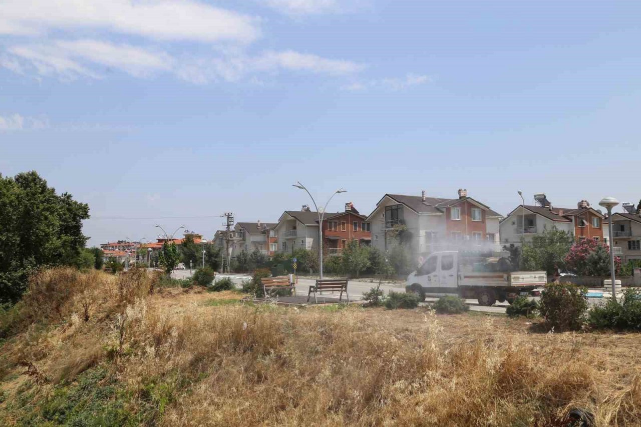 Edremit’te sinekle 7/24 mücadele