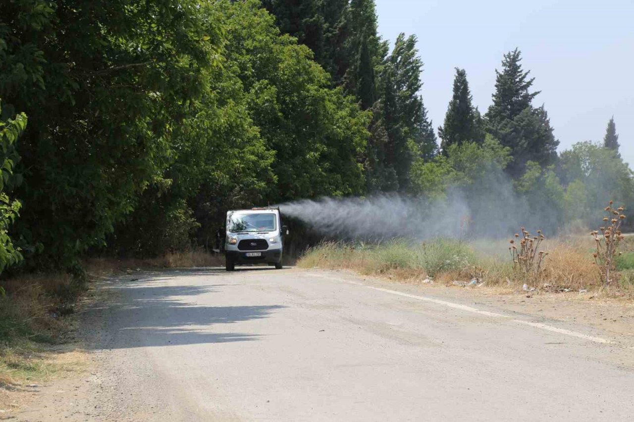 Edremit’te sinekle 7/24 mücadele