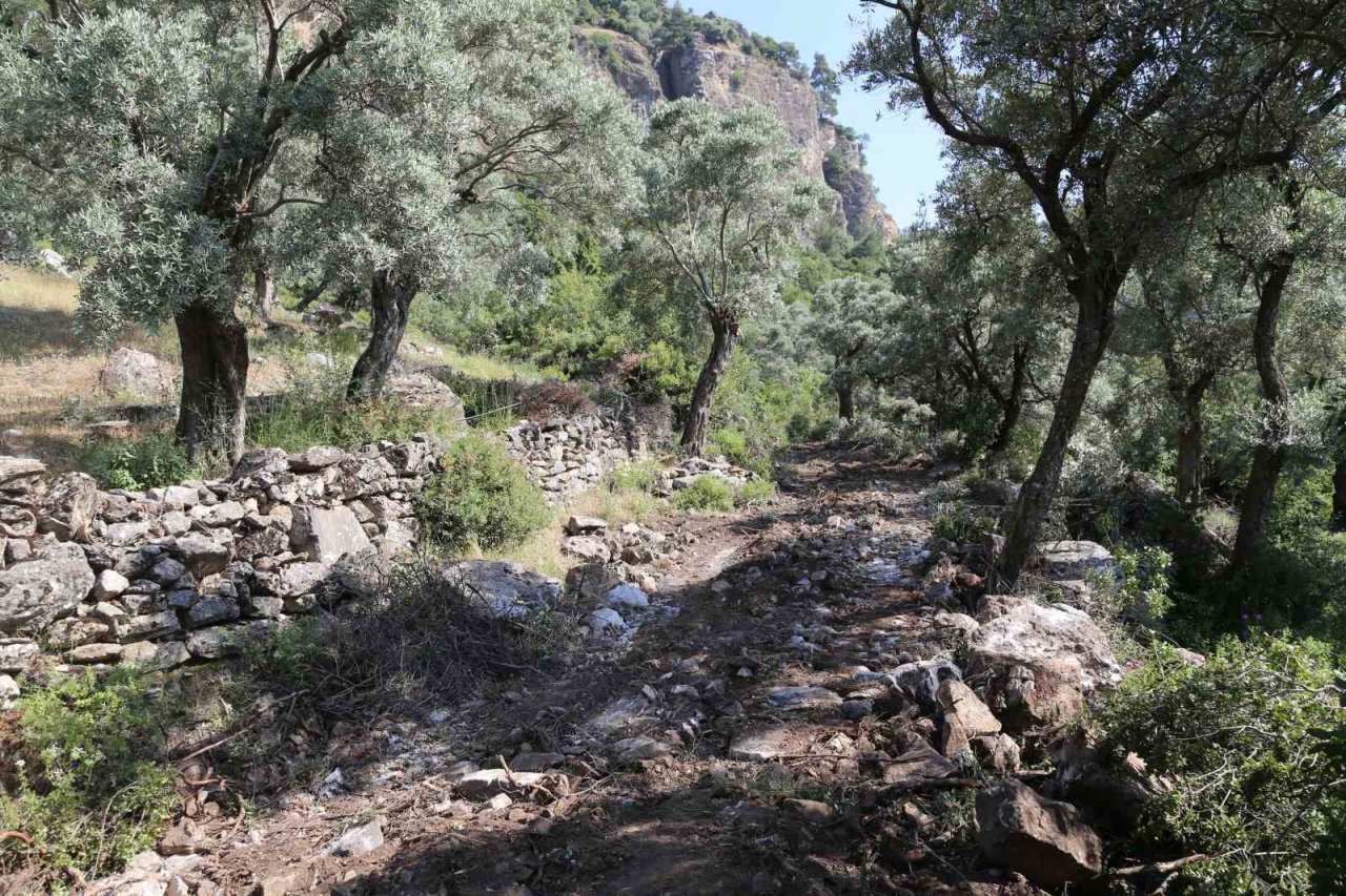 Efeler Belediyesi Balıkköy Mahalle halkının yol sorununu çözüme kavuşturdu