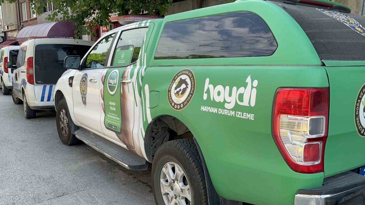 Minibüsün arkasına at bağlayan sürücü adliyeye sevk edildi