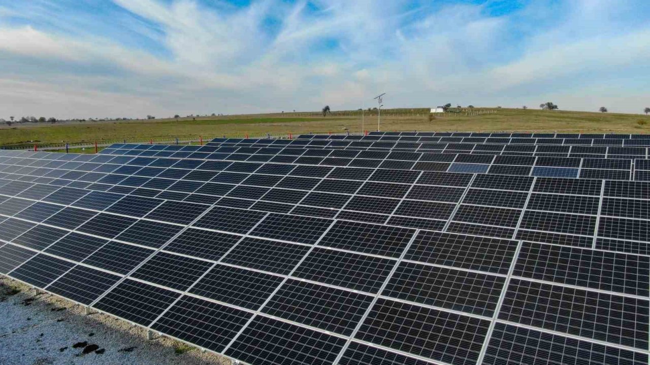 Karesi enerjisini güneşten alıyor