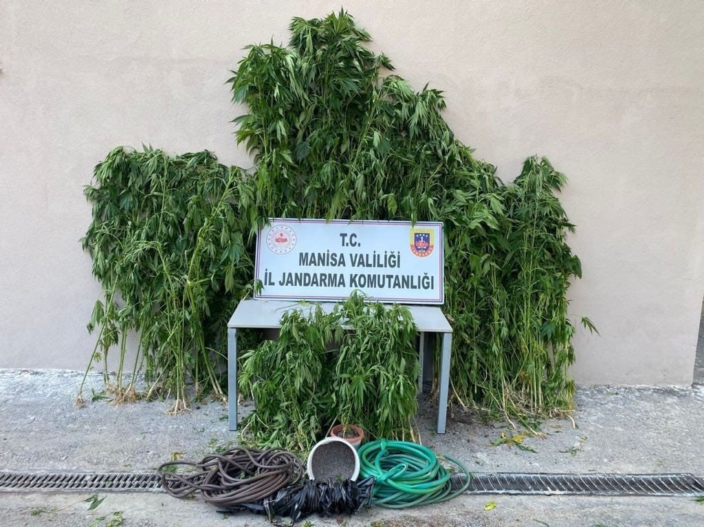 Jandarmadan uyuşturucu ile mücadelede taviz yok