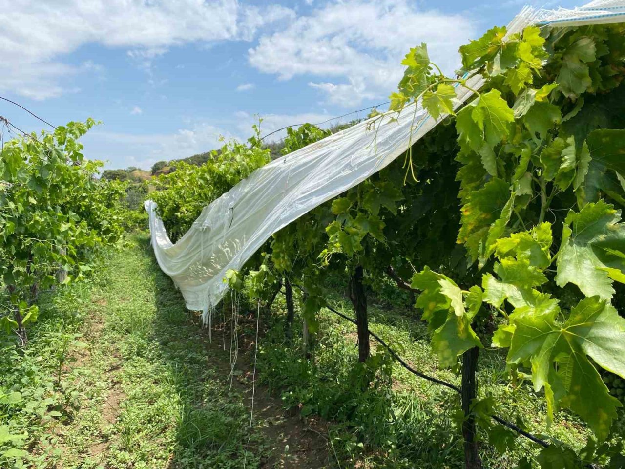 Manisa’daki fırtına ve dolunun yol açtığı zarar tespit edilmeye başlandı